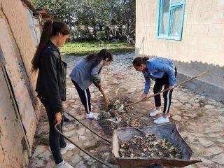 Қарттар күніне арналған жеті қайырлы іс